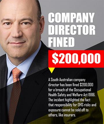Company Director fined