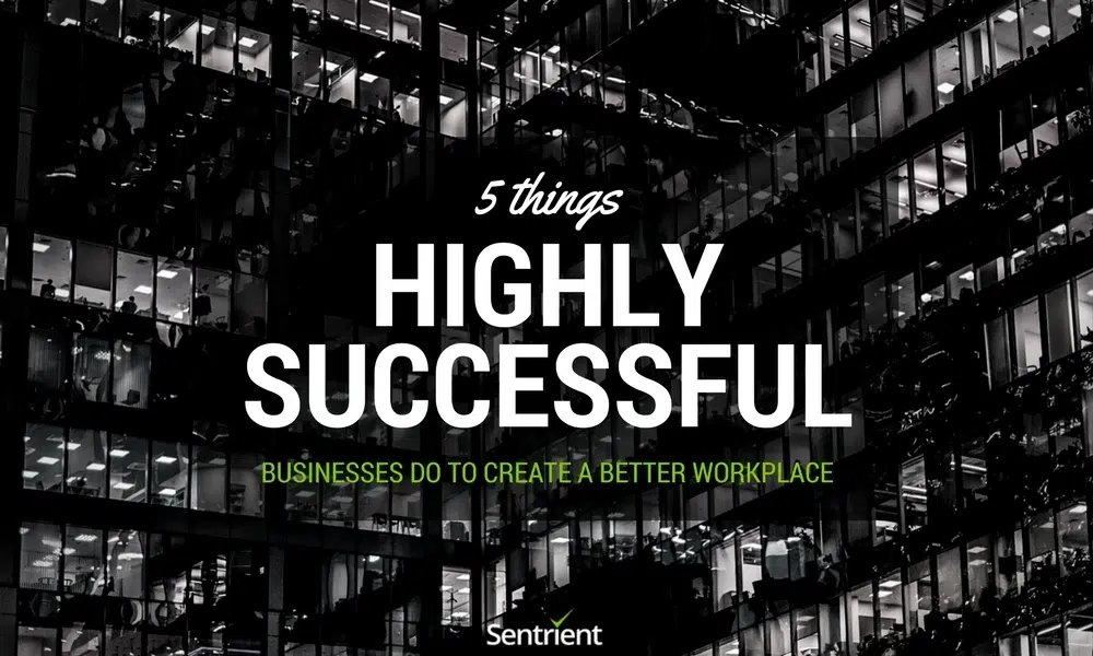 5 Things Highly Successful Businesses Do To Create A Better Workplace