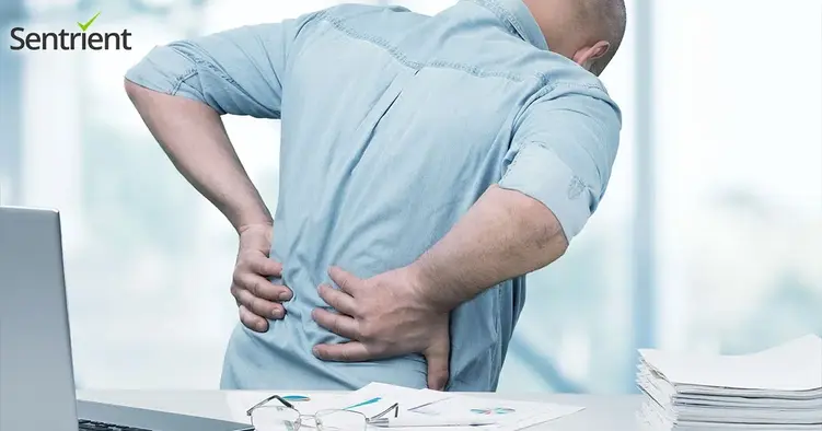 Injuries Caused Due To The Absence Of Appropriate Workplace Manual Handling Training