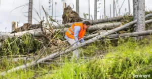 Identifying And Controlling The Risks When Working Alone