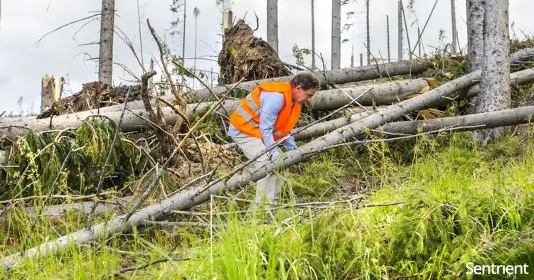 Identifying and Controlling Risks When Working Alone