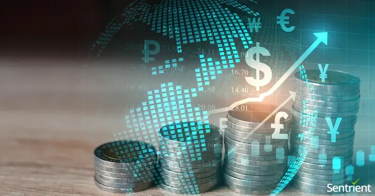 The 6 Ways That Terrorism Is Financed