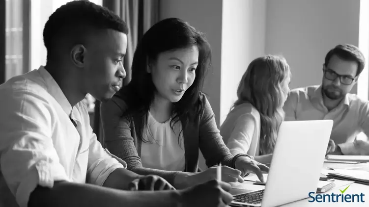 Steps To Enable Diversity And Workplace Flexibility