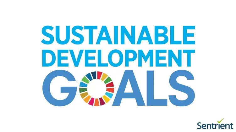 Free Demonstration Course On The United Nations Sustainable Development Goals (SDGs)
