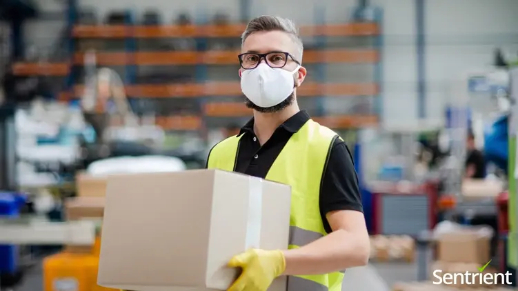 How You Can Reduce Or Eliminate Manual Handling Risks In Your Workplace