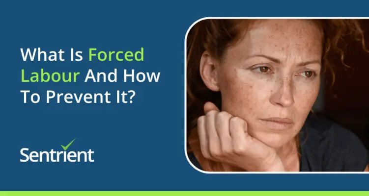 What Is Forced Labour And How To Prevent It