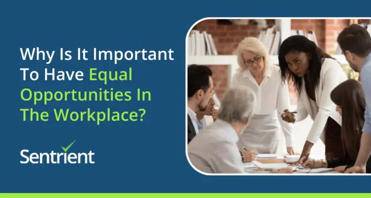 Why Is It Important To Have Equal Opportunities In The Workplace?