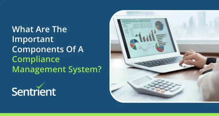 What Are The Important Components Of A Compliance Management System
