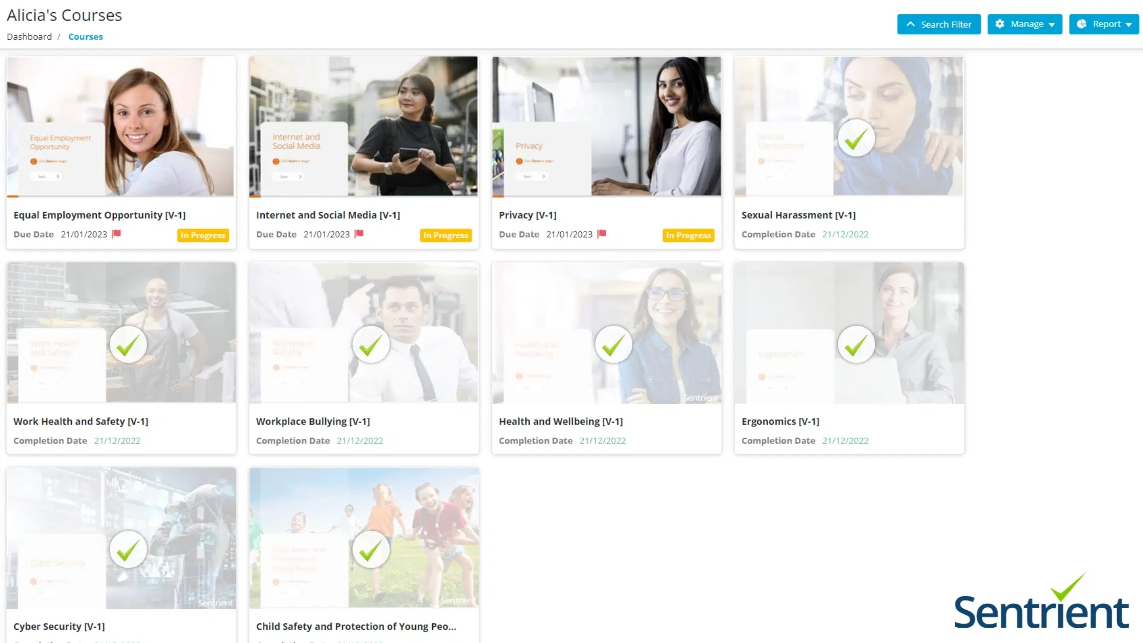 Online Learning Assessment Tools