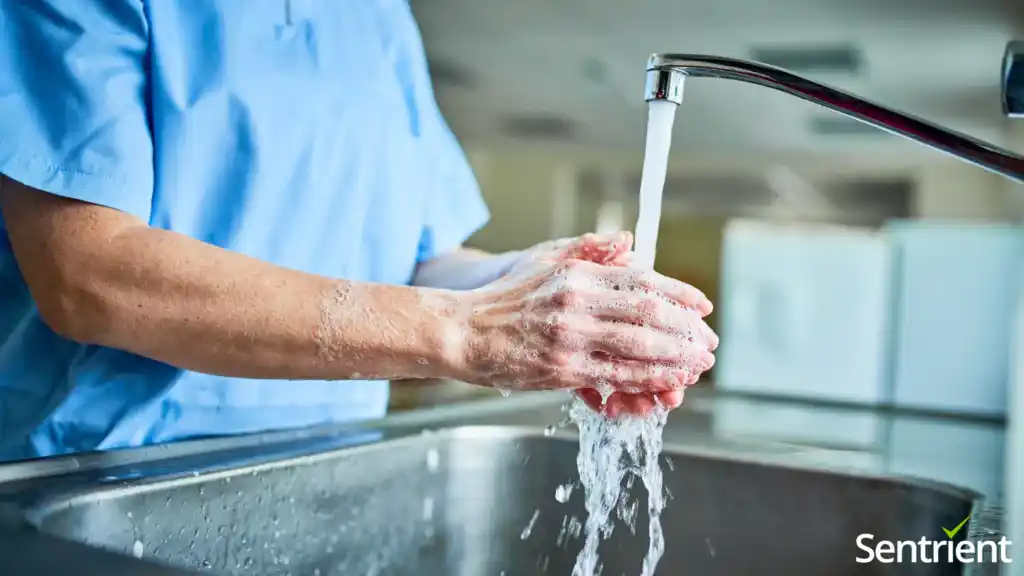 Hand Hygiene Course – Online Hand Washing Training Course For ...
