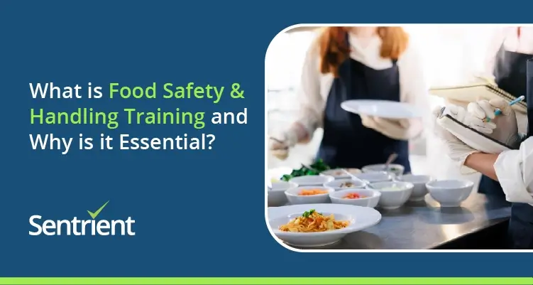 What is Food Safety and Handling Training and Why is it Essential?