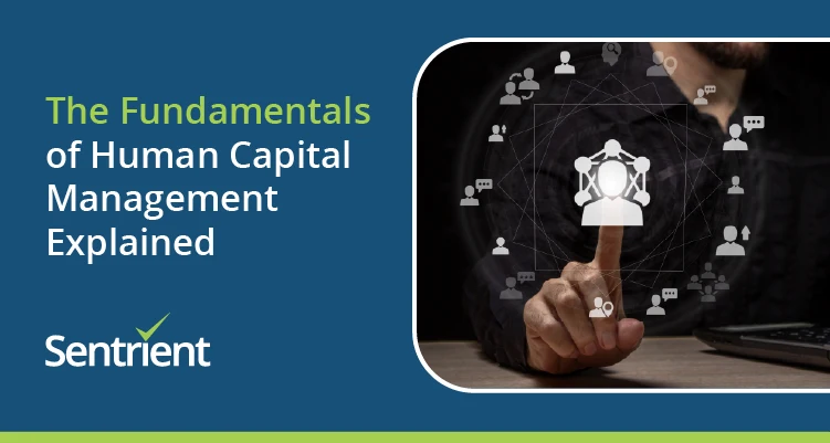 The Fundamentals of Human Capital Management Explained