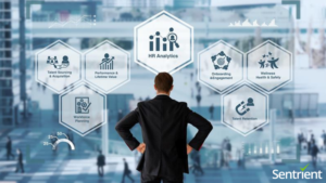 HappyHR Alternatives: Smart HR Management Tools For Better Workplace Culture