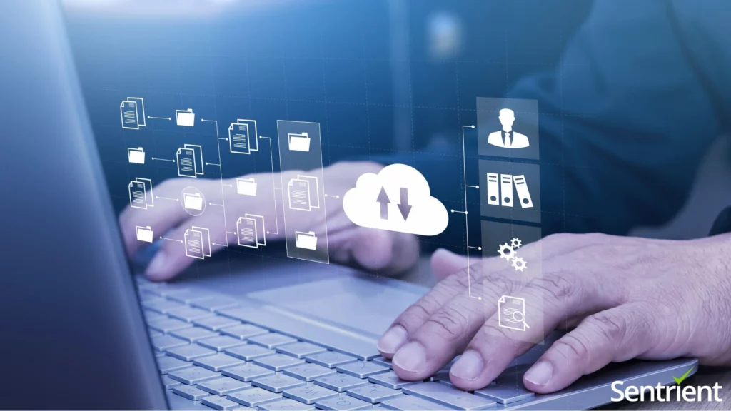How a Knowledge Management System Supports a Culture of Continuous Learning in Australian Workplaces