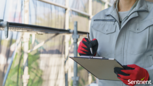 Why Psychosocial Safety Surveys Are Now A WHS Legal Obligation In Australia