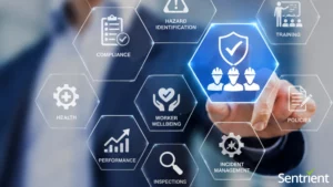 WHS Management System: A Complete Guide For Australian Businesses