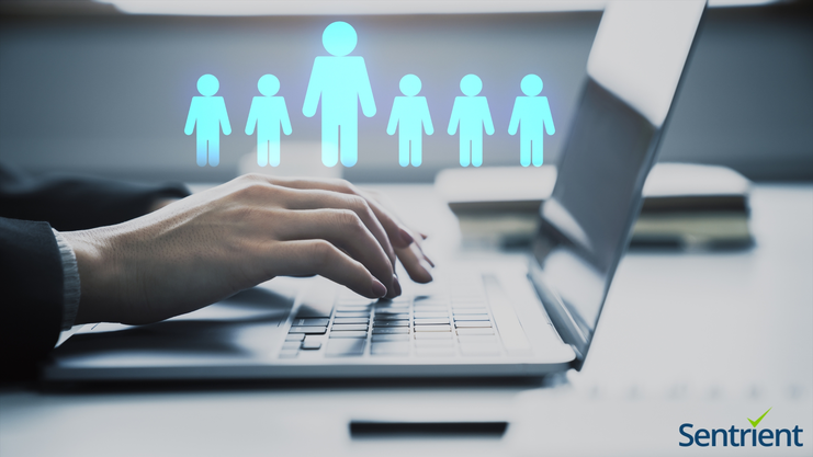 Top Compono Alternatives For Australian Businesses
