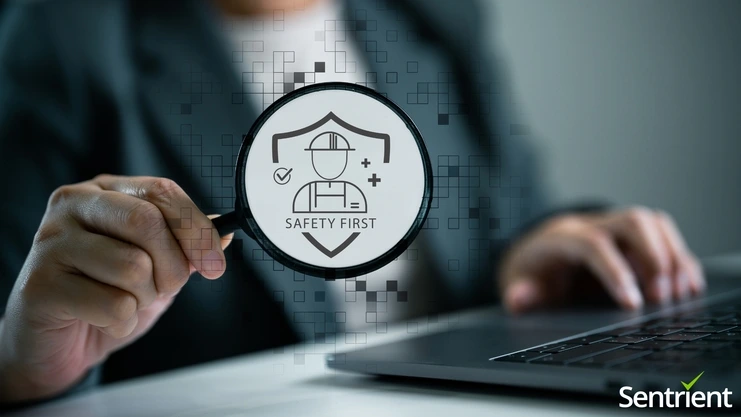 Top WHS Monitor Alternatives For Australian Businesses